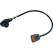 Crank / Camshaft Sensor