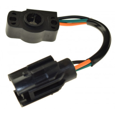 Throttle Position Sensor