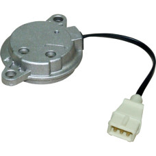 Crank / Camshaft Sensor