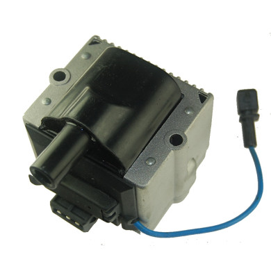 Ignition Coil / Module Assembly